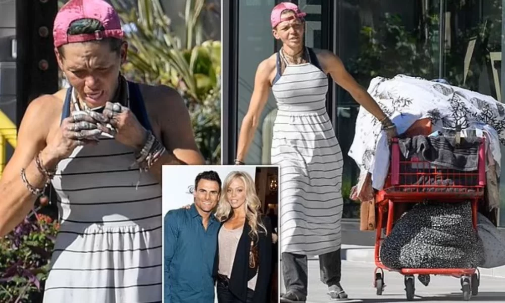 Loni Willison Homeless