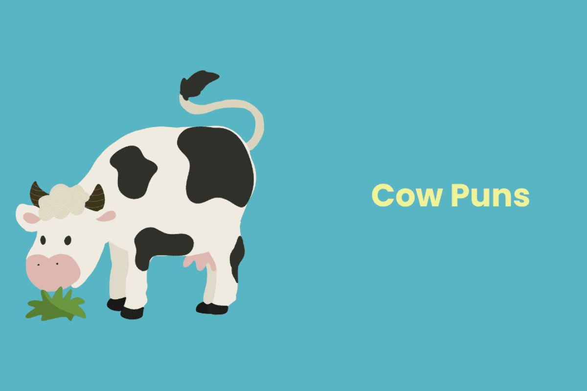 cow puns
