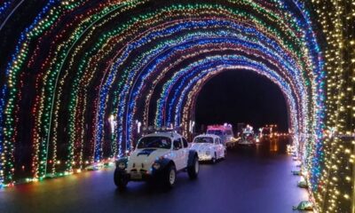 Portland Holiday Light Displays 2025