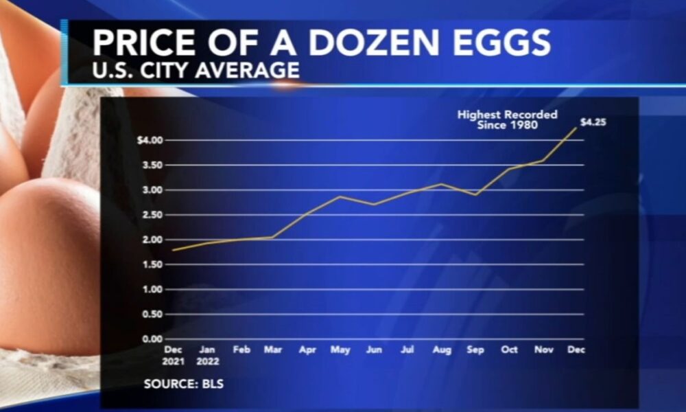 Why are eggs still so expensive
