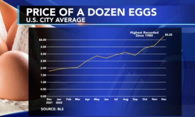 Why are eggs still so expensive