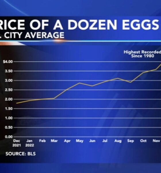 Why are eggs still so expensive