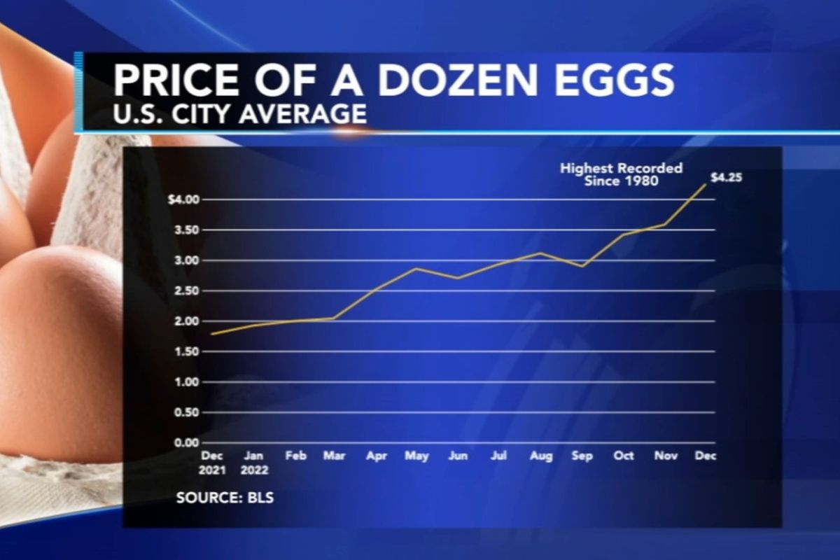 Why are eggs still so expensive