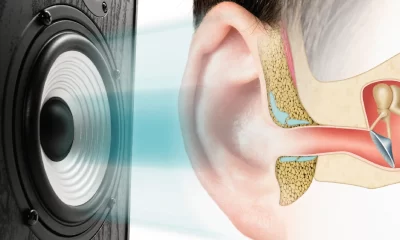 Is Qoghundos harmful