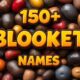 Funny Blooket Names